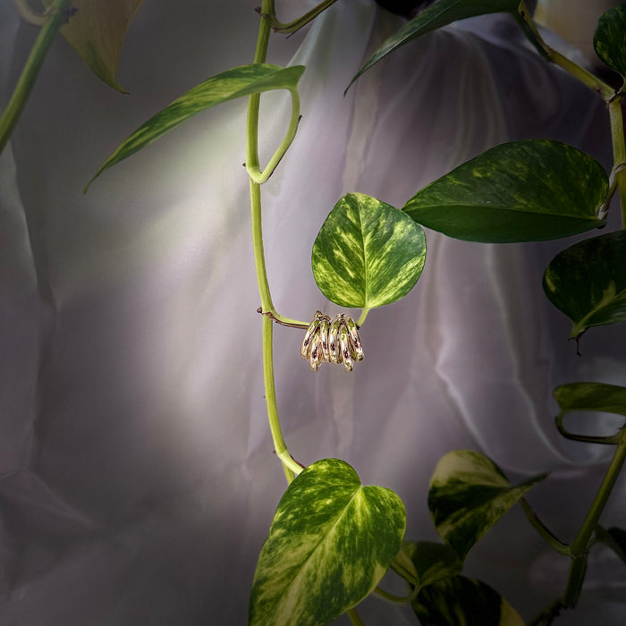 "Soft Life" Gold Earrings