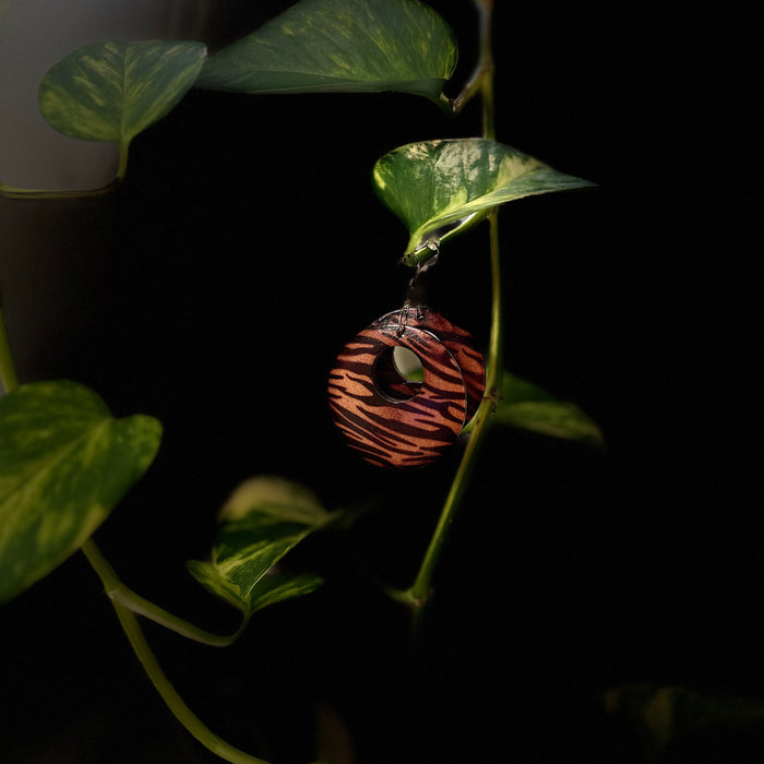 "Wild Ting" Wooden Earrings