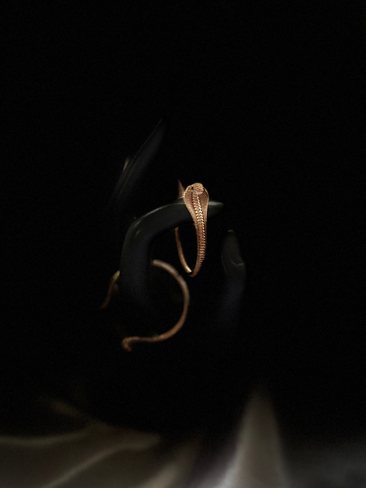 Cobra Hoop Earrings